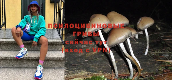 прущие крисы Алексин